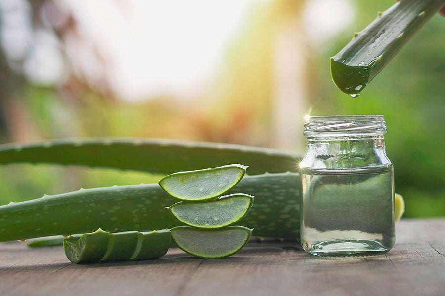aloe vera seife herstellen Aloe Vera-Seife mit Luffaschwamm main image 0