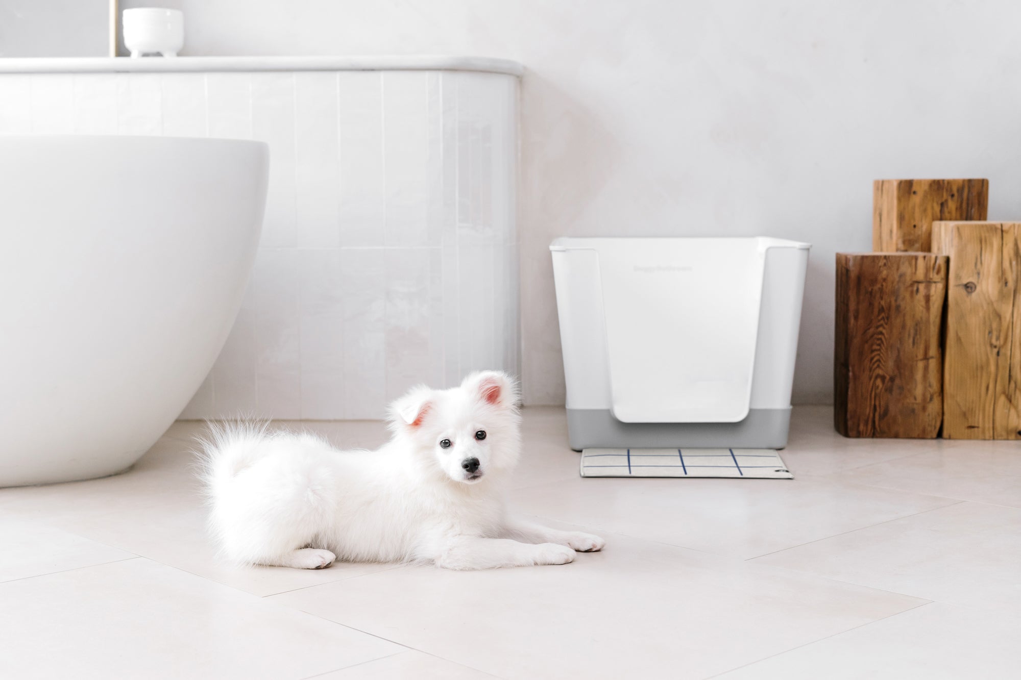 Mastering Indoor Pet Waste Management: Dog Litter Box