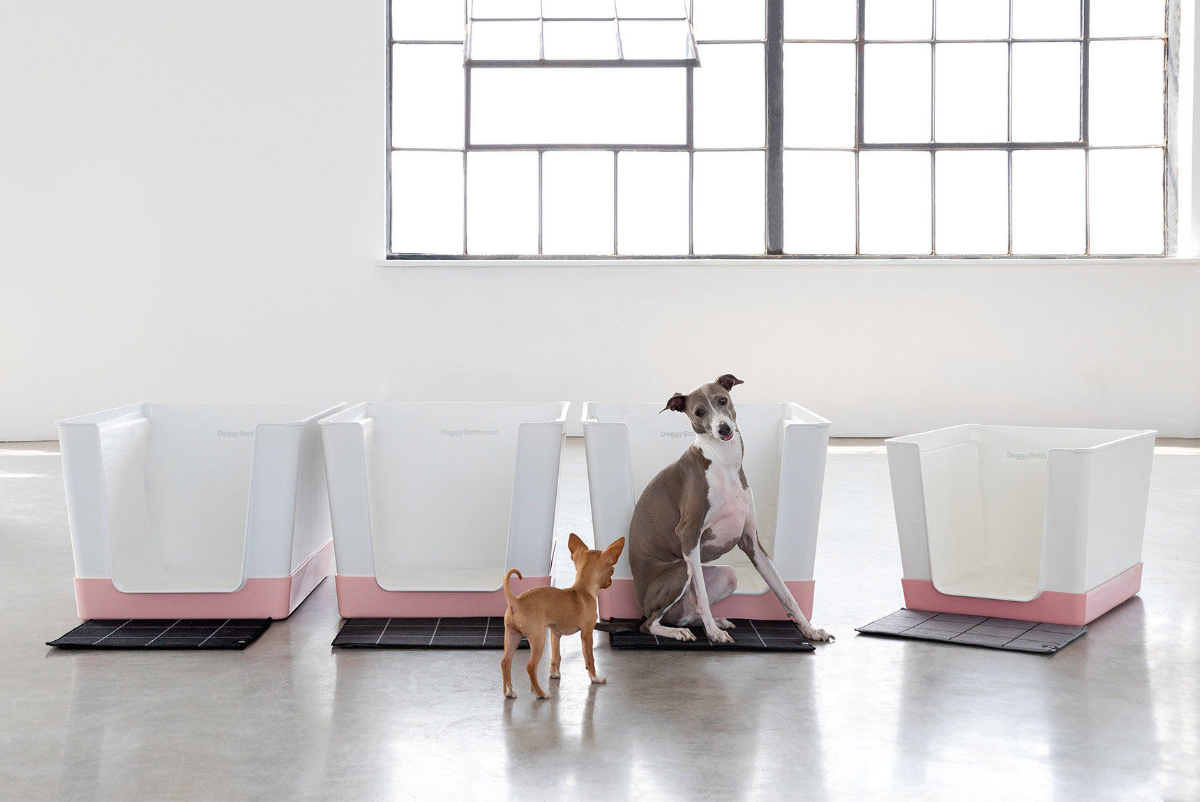 Doggy Bathroom Gives Back for Breast Cancer Awareness Month 