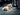 doggy bathroom, dog litter box, dog potty tray, pee pads