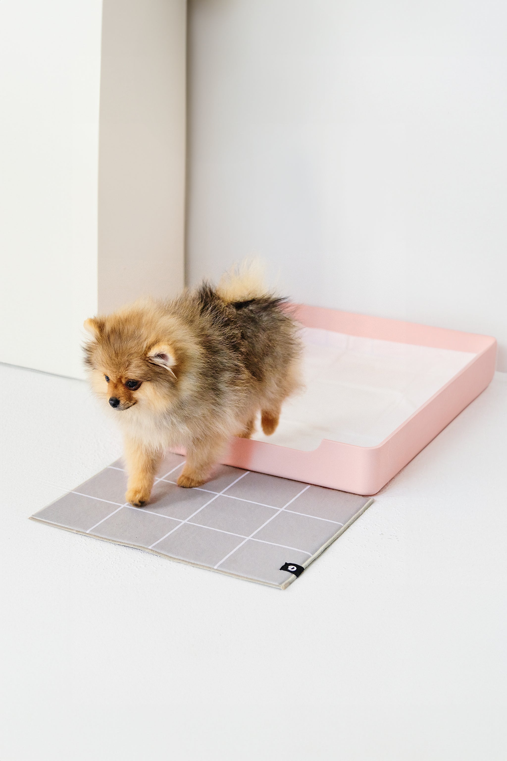 Doggy Bathroom Tray: Pee Pad Holder Pink Regular