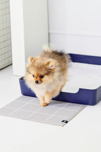 Doggy Bathroom Tray: Pee Pad Holder Navy Blue Regular
