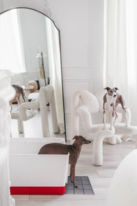 Doggy Bathroom