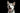 how to stop dog barking, reduce dog barking, dog barking solutions