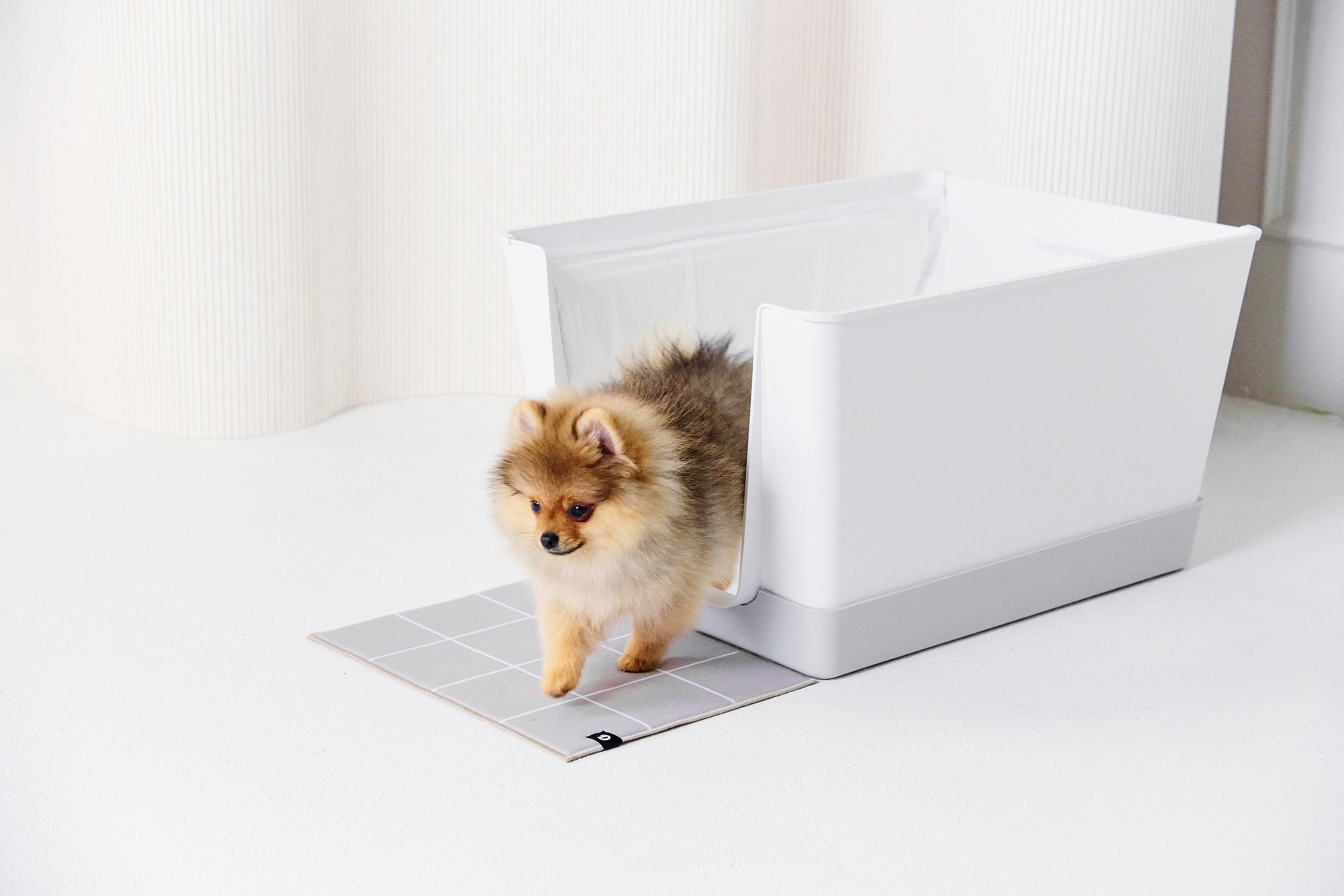 Why Wall Protection Matters in an Indoor Potty System