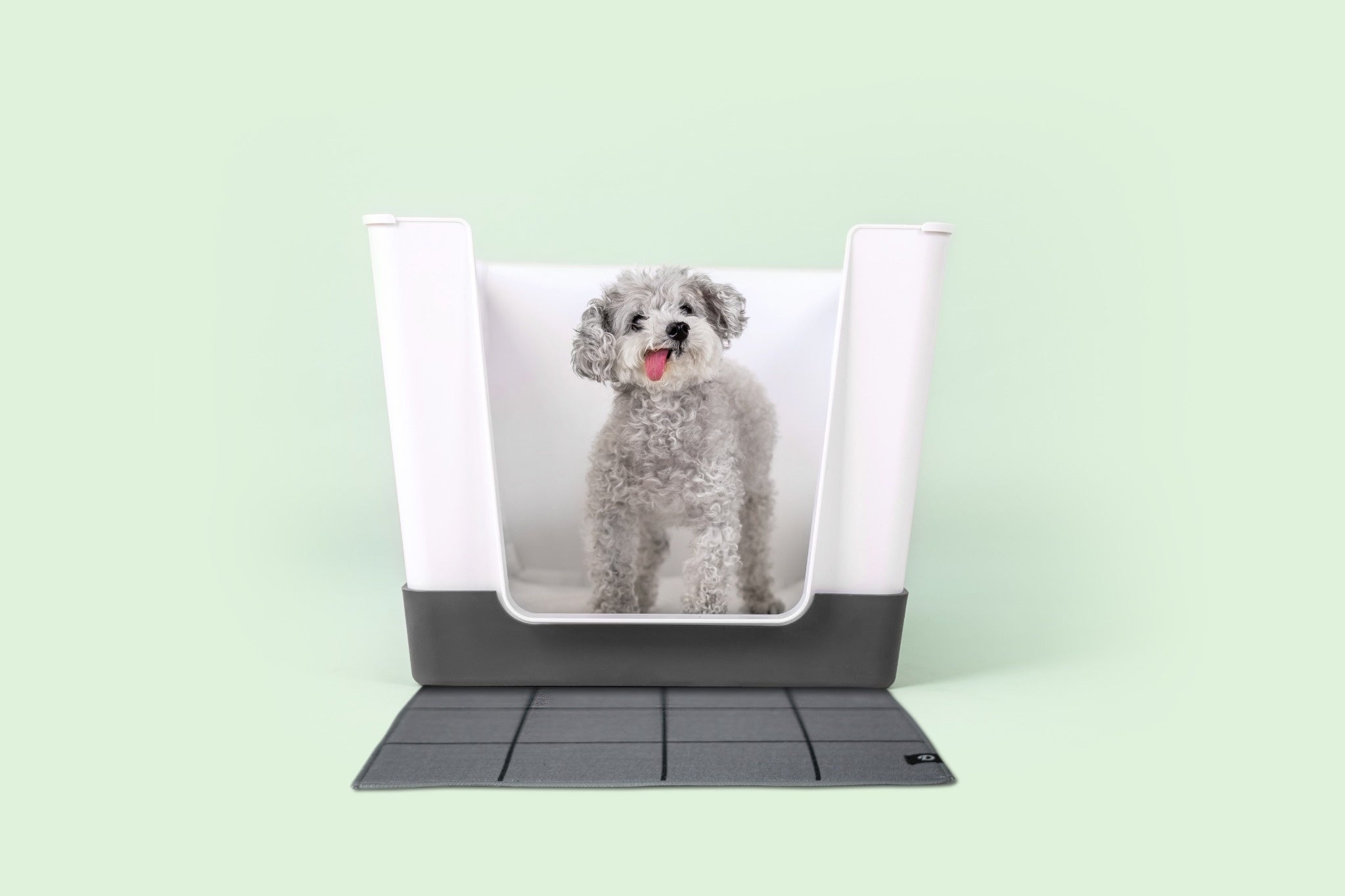 A New Way to Train Dogs Indoors: Vertical Pee Pads