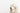 White dog with straight long hair covering its eyes against a white background.