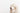 White dog with straight long hair covering its eyes against a white background.