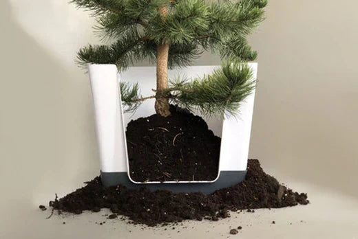 Eco-Friendly Doggy Bathroom: Sustainable Training Pads