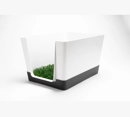 Transform Dog Potty Training with Real Grass