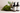 BIO·SPA Now Supports Global Reforestation — One Bottle, One Tree