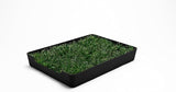 OVERSTOCK | Doggy Tray