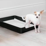 OVERSTOCK | Doggy Tray
