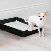 OVERSTOCK | Doggy Tray