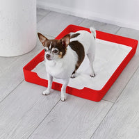 OVERSTOCK | Doggy Tray