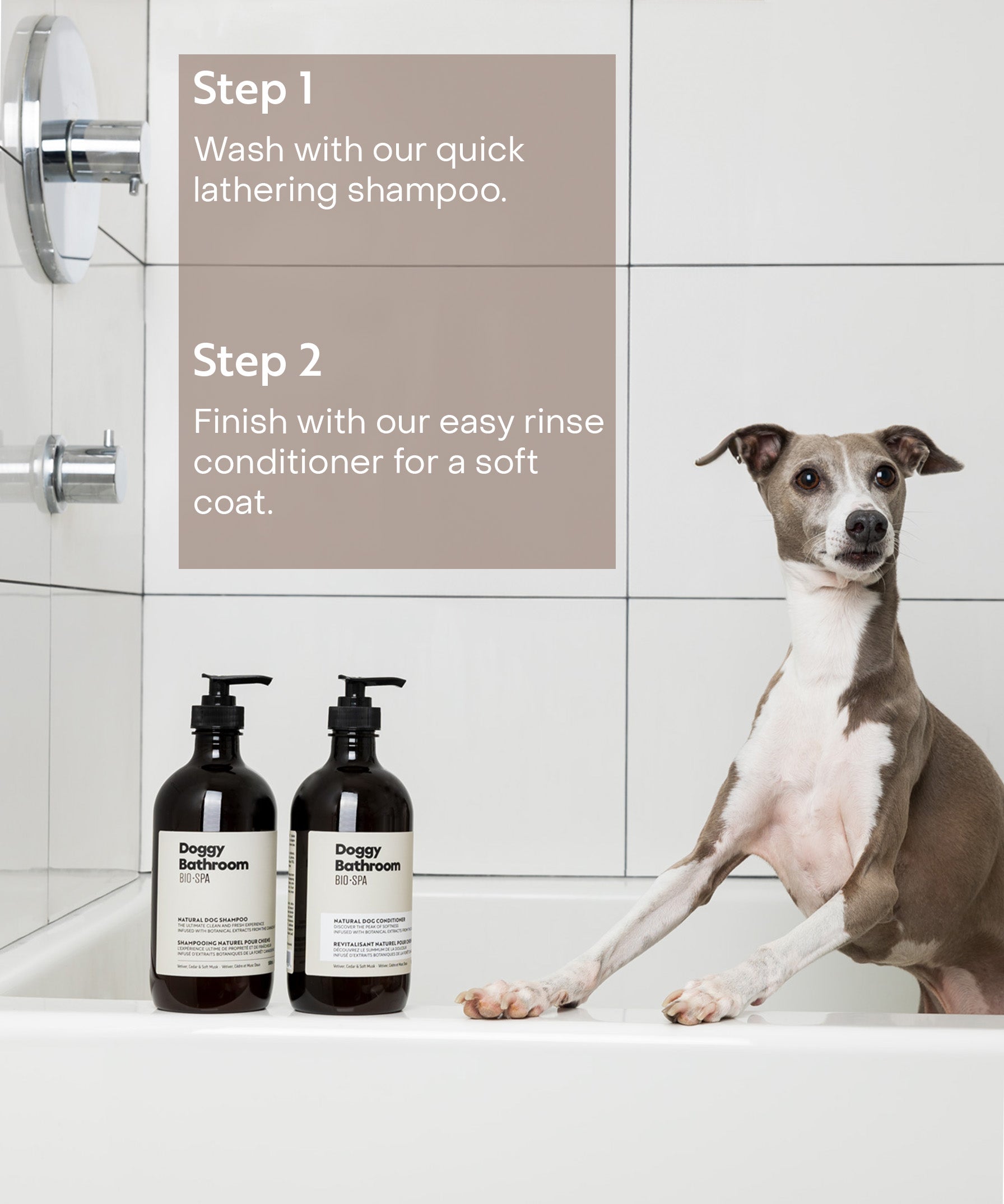 Eco dog fashion wash