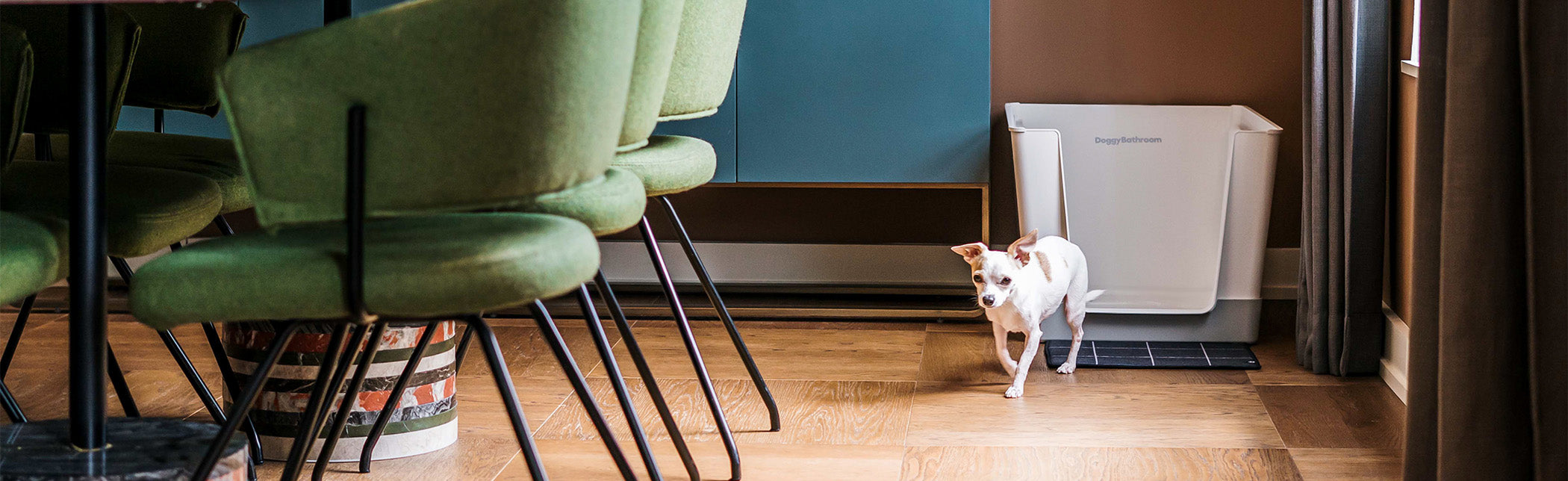 Best Indoor Dog Potty: Hygienic Doggy Bathroom for Small Dogs ...
