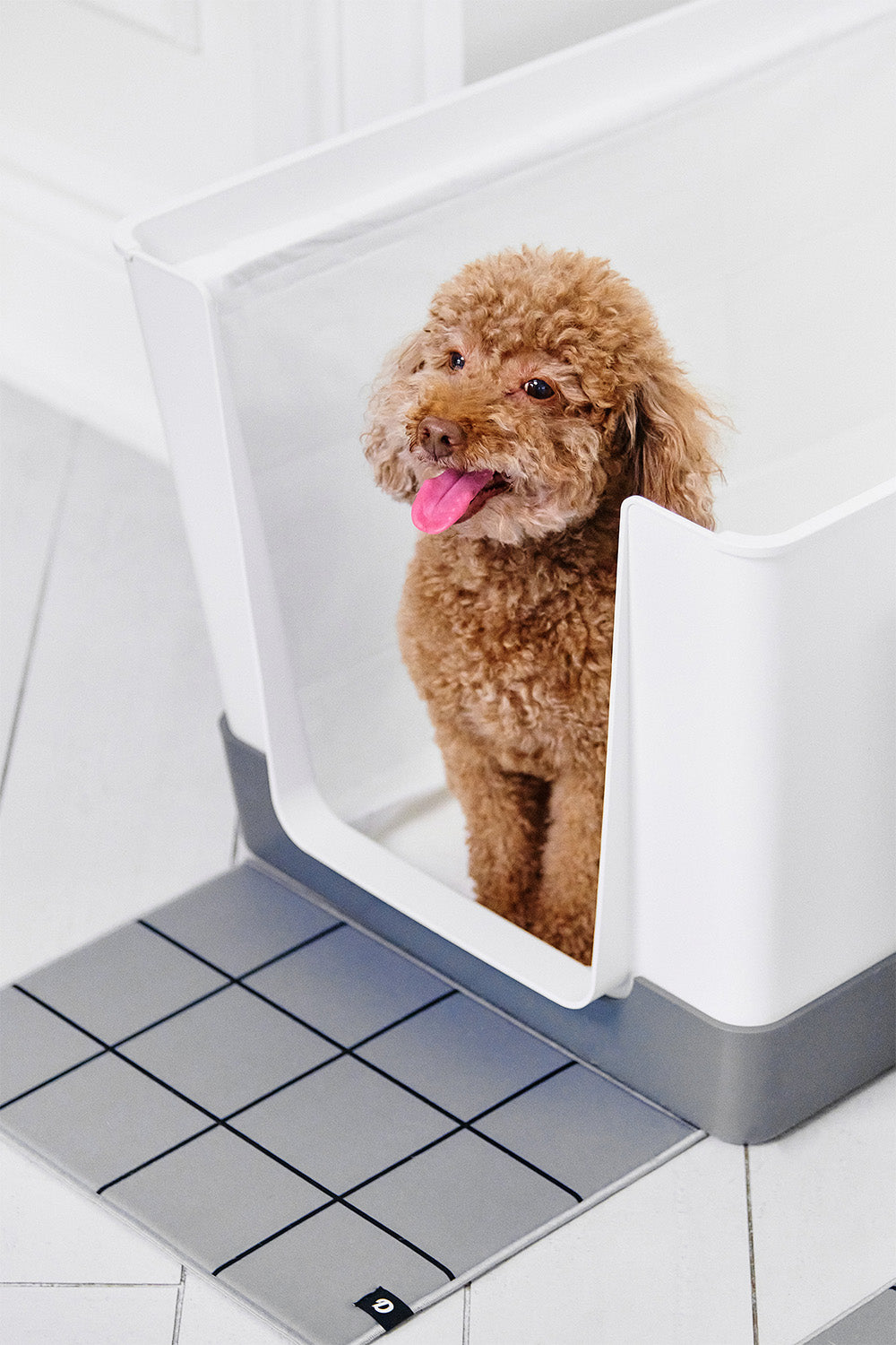 Splash Pad Indoor Dog Potty Replacement Dog Potty Tray Toilet