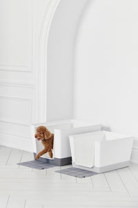 Doggy Bathroom Dark Grey Regular 1 Doggy Bathroom