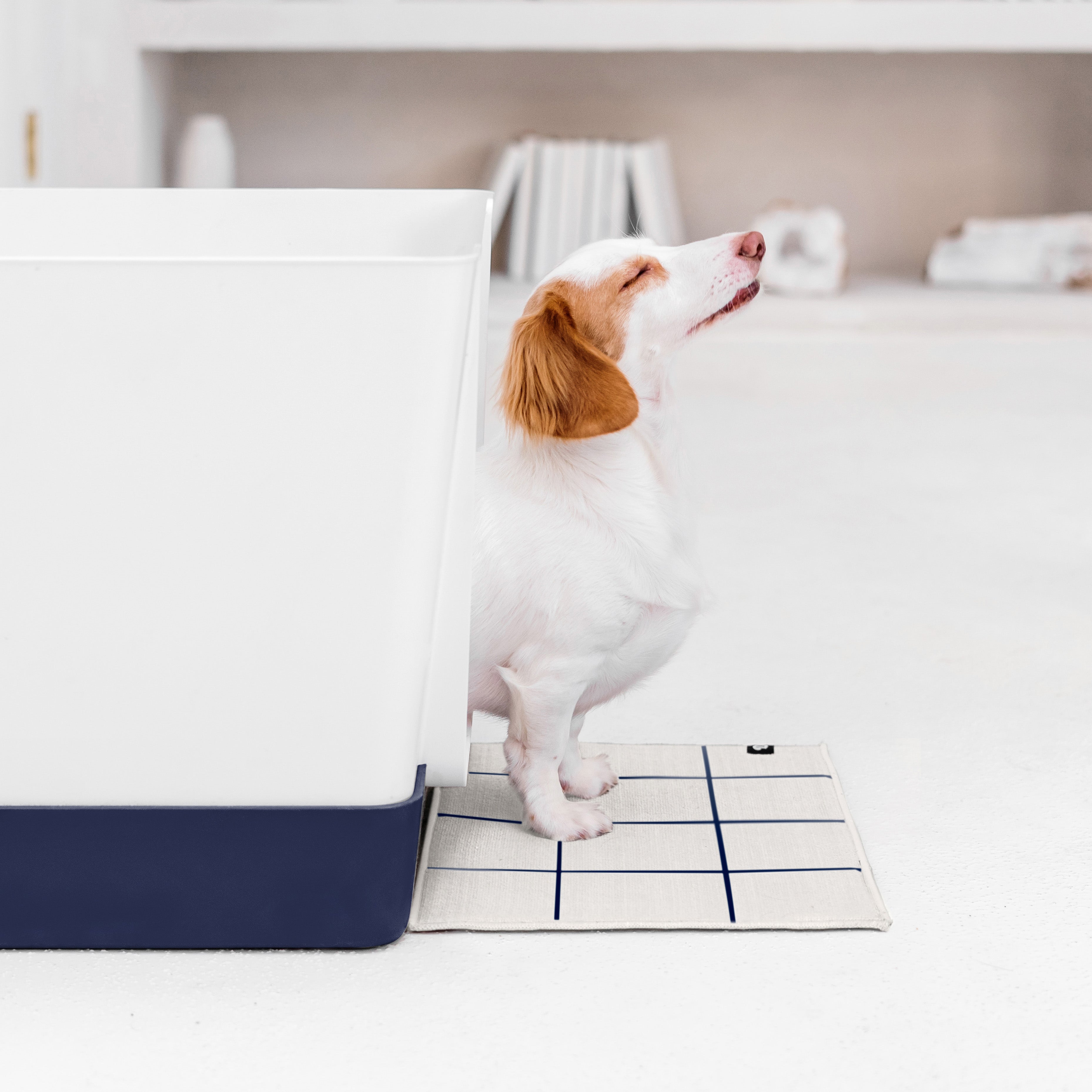 Doggy Bathroom DoggyBathroom The Best Dog Litter Box with