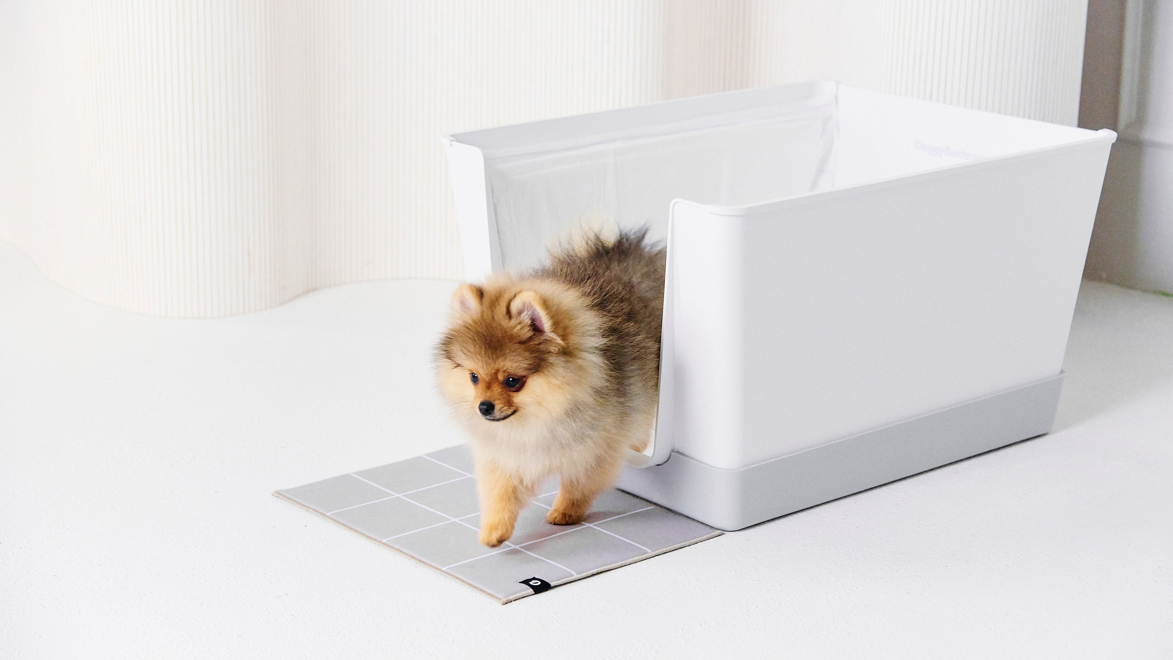dog litter box, doggy bathroom, dog litter, dog litter pan, indoor dog potty, dog bathroom, dog potty tray, dog toilet, dog pee tray, potty dog, indoor dog toilet, litter box for dogs, dog potty tray, dog indoor restroom, puppy litter box, indoor puppy potty, indoor bathroom for dogs, litter box for dog, indoor potty for dogs, dog litter boxes, dog litter tray, dog bathroom, best indoor dog potty, dog bathroom training
