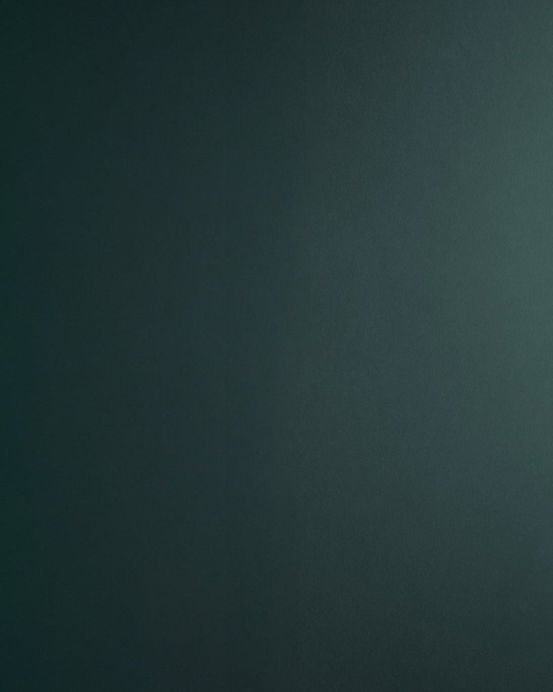 dog litter box, doggy bathroom, dog litter, dog litter pan, indoor dog potty, dog bathroom, dog potty tray, dog toilet, dog pee tray, potty dog, indoor dog toilet, litter box for dogs, dog potty tray, dog indoor restroom, puppy litter box, indoor puppy potty, indoor bathroom for dogs, litter box for dog, indoor potty for dogs